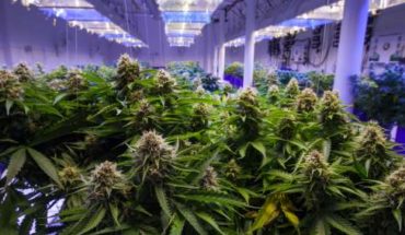 Curaleaf Holdings Inc (OTCMKTS:CURLF) Expand Its Line of Select Brand Products into Connecticut