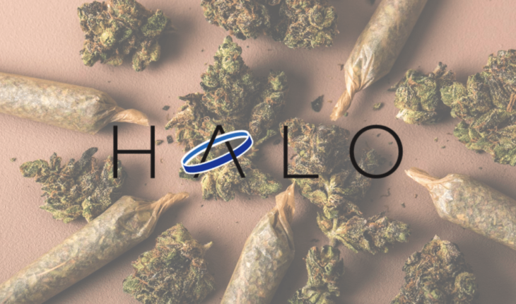 Halo Labs Inc (OTCMKTS:AGEEF) Reports A Drop Of 49% In Q1 2020 Revenues