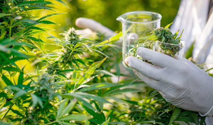 Medical Marijuana Inc. (OTCMKTS:MJNA) Announce Expansion Of AXIM Biotechnologies’ Research Division