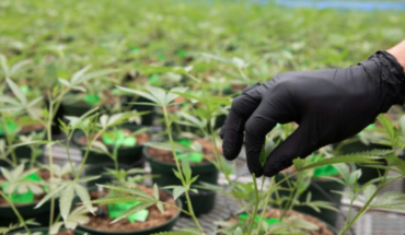 Cansortium Inc (OTCMKTS:CNTMF) Posts A Growth Of 84% In Revenues In Q1 2020: Expects To Report Revenues Of Up To $60 Million In 2020