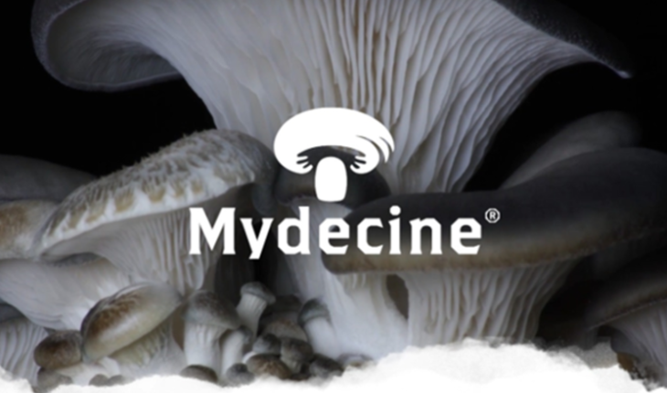 Mindleap Health Inc, A Subsidiary Of Mydecine Innovations Group Inc (OTCMKTS:MYCOF), Will Introduce Meditation Program Of Brightmind On Its Digital Health Platform