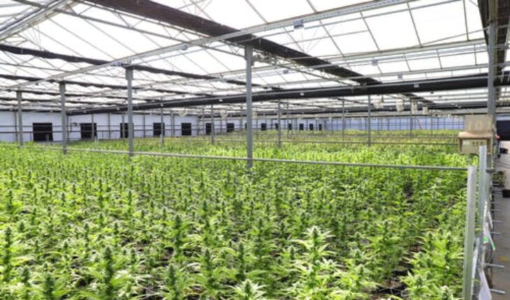 Acreage Holdings Inc (OTCMKTS:ACRHF) Incorporates Third Dispensary – The Botanist Williamstown In New Jersey
