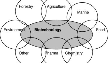 Biotech Mid-Day Gainers: NASDAQ:WINT, NASDAQ:CGEM, NASDAQ:PROG, NASDAQ:XERS