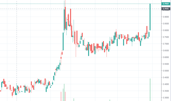 CGX Energy (CGXEF) Stock Extends Rally: Hit $1 Mark