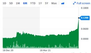 Green Planet Group Inc (GNPG) Stock Hits A New High: Will The Rally Continue?
