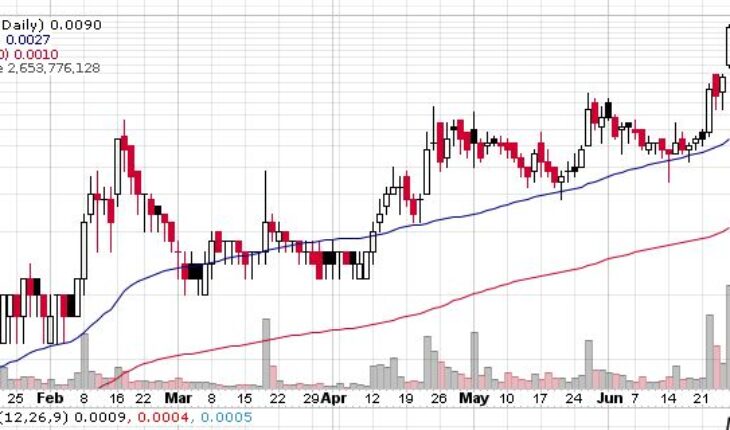 HPIL Holding (HPIL) Stock Makes a Big Move: A Good Sign?