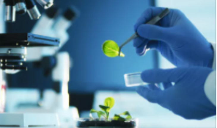 Mid-Day Gainers of Biotechnology sector: Virpax Pharmaceuticals, Inc. (NASDAQ:VRPX), Xenetic Biosciences, Inc. (NASDAQ:XBIO), Forward Pharma A/S (NASDAQ:FWP).