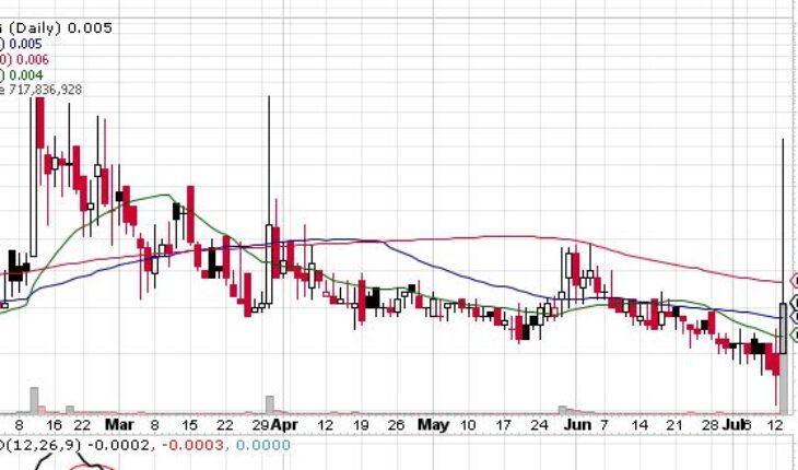 B2Digital Inc (BTDG) stock Gains Momentum: How to Trade Now?