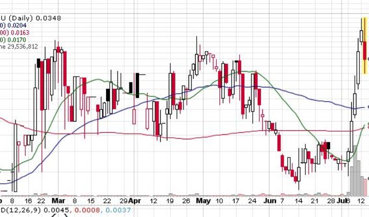 Human Unitec International (OTCMKTS:HMNU) Stock Turns Volatile: Time To Sell?