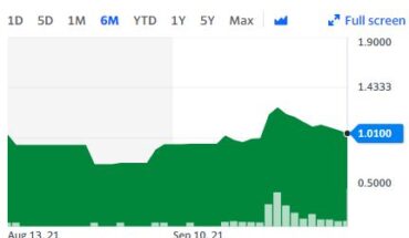 Boosh Plant-Based Brands Inc (OTCMKTS:VGGIF) Stock Continues to Trend Near $1
