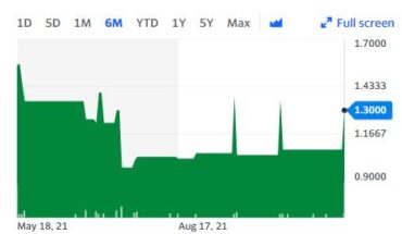Bloomios Inc (OTCMKTS:BLMS) Stock Soars 20% After Shareholder Update