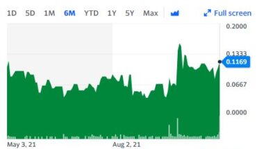 Nilam Resources (OTCMKTS:NILA) Stock Moves Up Again: Jumps 30% in a Week