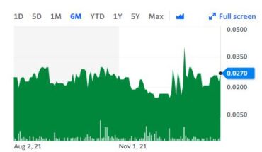 Freeze Tag (OTCMKTS:FRZT) Stock Soars After The CEO Update