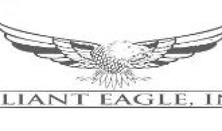 Why Did Valiant Eagle Inc (OTCMKTS:PSRU) Fall 11% On Tuesday?