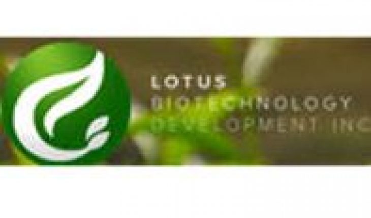 Lotus Bio-Technology Development Corp (OTCMKTS:LBTD) Stock Jumps As Company Initiates Name Change
