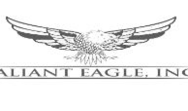 Valiant Eagle Inc (OTCMKTS:PSRU) Stock In Focus After Recent News