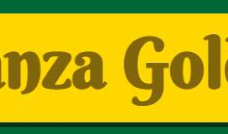 Bonanza Goldfields Corp (OTCMKTS:BONZ) Stock In Focus After Latest News