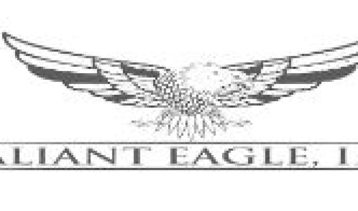 Valiant Eagle (OTCMKTS:PSRU) Stock In Focus After Signing Letter Of Intent