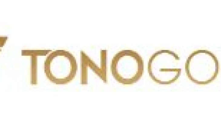 Tonogold Resources Inc (OTCMKTS:TNGL) Stock Takes a Hit: Here is Why