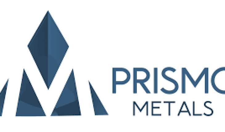 Prismo Metals Inc. (OTC:PMOMF) Stock Takes a Hit: Here is Why