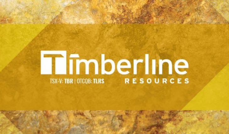 Timberline Resources Corporation (OTC:TLRS) Stock Soars 133%: What Next?